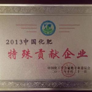 2013年中國化肥特殊貢獻(xiàn)企業(yè)
